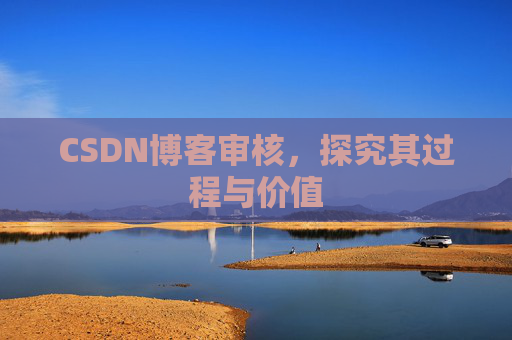 CSDN博客审核,探究其过程与价值