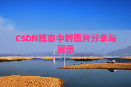 CSDN博客中的图片分享与展示